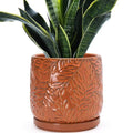 D'vine Dev Embossed Leaves Ceramic Planter, 8 in, Pumpkin, 27-A-Q-J by DvineDevPlanterPotsandStand