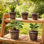 Bluepro Clear Nursery Pots with Drainage, 3.5/4/5/6/8 Inch, 20-Pack - Image 7