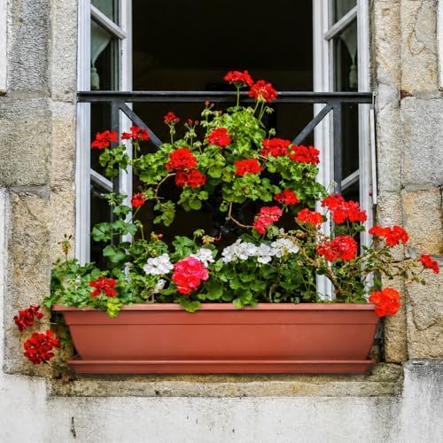 4 Pcs 31 inch Window Box Planter, Large Rectangular Plastic Flower Pot with Tray, Suitable for Indoor & Outdoor Gardens, Balcony and Home Decor (4) - Image 7