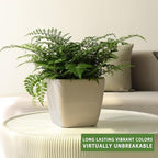 Dexceder 9x8 Self Watering Planter (Taupe Matte) - Image 6