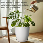 Plant Water Catcher Trays - Ceramic Plant Saucers 12 Inch Plant Trays for Indoors No Holes Plant Drip Trays Drainage Decorative Flower Pot Saucers Large Plant Dishes 2 Pack White - Image 4