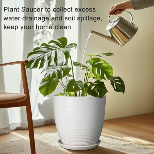 Ceramic Plant Saucer - 12 Inch Plant Tray for Pots Large Plant Plate to Catch Water Indoor Plants Large Plant Drip Tray for Drainage Round Flower Pot Saucer White - Image 4