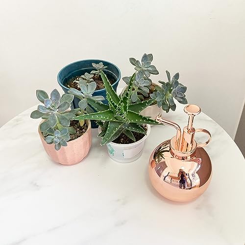 Plant Mister Spray Bottle Stainless Steel Plant Sprayer, Small Watering can Plant Spray Bottle Modern Gardening Tools for Indoor Potted Plants Watering and Spraying - Image 4
