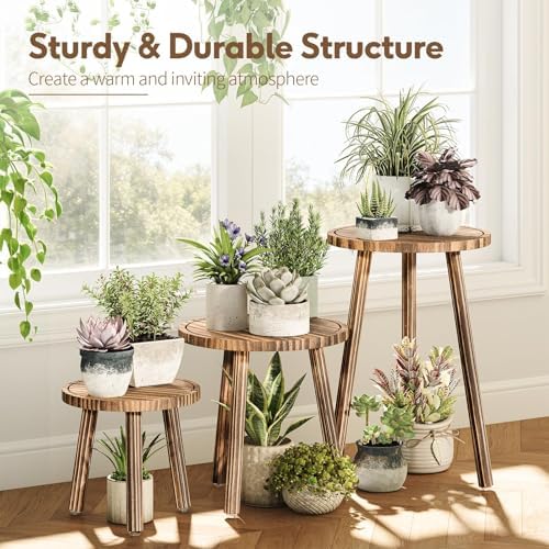 3-Pack Taller Plant Stand Indoor, Single Wood Plant Stool for 6-12 Inch Pot - Image 5