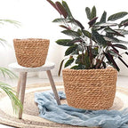 Seagrass Planter Basket Stylish Planter Baskets, Set of 4 - Image 6