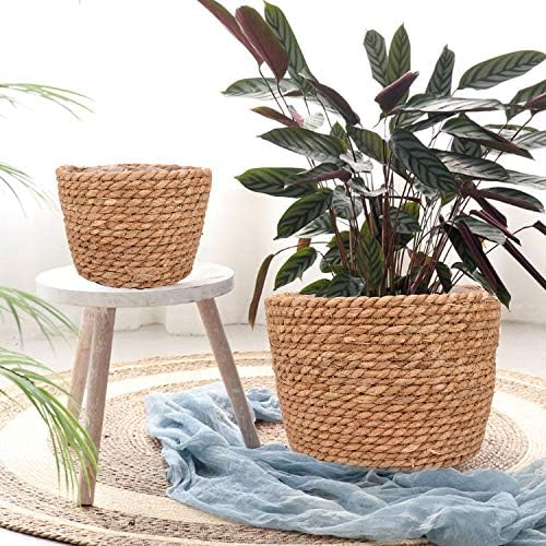 Seagrass Planter Basket Stylish Planter Baskets, Set of 4 - Image 6