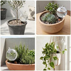 EX-Large Plant Watering Globes with Cover 26oz Top Fill Plastic Water Bulbs Self Watering Planter Inser, Slow Release Terracott, Plant Watering Devices for Plants, 2 Pack - Image 6