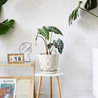 Gepege 10 Inch Ceramic Plant Pot for Indoor Plants with Drainage & Saucer - Image 4