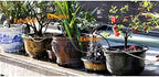 4/7mm Hose Garden Watering 1/4" PVC Hose Micro Drip, for Irrigation Pipe Tubing Lawn Balcony Plants Flower Greenhouse Pipes (Color : 4-7mm Hose, Size : 20M) - Image 6