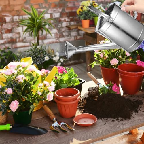 Metal Watering Can with Spray Head 5l Thickened Stainless Iron Watering Pot for Indoor Outdoor Plants Gardening and Flower Care Style - Image 7