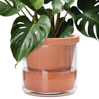 D'vine Dev Self Watering Terracotta Planter Pot, 10 in, 37-X-D-1 by DvineDevPlanterPotsandStand