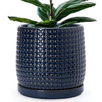 D'vine Dev Beaded Ceramic Pot with Saucer, 10 in, Midnight Blue, 27-C-P-3 by DvineDevPlanterPotsandStand