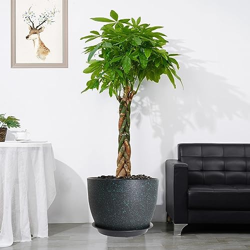UOUZ 12/10/9 Large Modern Plant Pots, Plastic Planters with Drainage Holes and Saucers for Indoor Outdoor Plants Flowers, Black with Green Speckles - Image 6