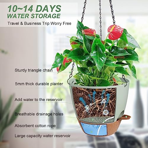12 Inch Self Watering Hanging Planters for Indoor Outdoor Plants, 1 Pack - Image 2