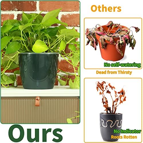 Planterhoma 6.7 Inch Self Watering Pots for Indoor Plants, 6 Packs African Violet Pots with Indicator, Black Wick Pot with Drainage Holes, Self Watering Planters for Orchid, Devil's Ivy, Grey - Image 4