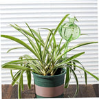 4pcs Cactus Shape Glass Watering Globe for Plants Automatic - Image 5