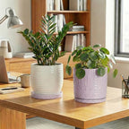 Eightpot 2 Pack Plant Trays for Pots, 7.5 Inch Plant Plates to Catch Water for Indoor Outdoor, Round Plants Water Catcher Tray, Boho Flower Pot Saucer, Decorative Plants Dishes to Catch Water, Purple - Image 3