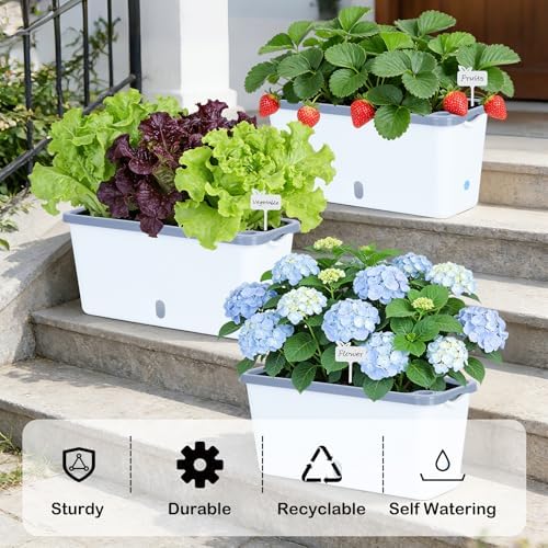 Oliz Window Box Planter 4 Packs, 14 Inches Rectangle Flower Pots with Breathable Drainage Holes, Pots for Vegetables, Herbs, Flowers, Garden Windowsill Balcony (White & Grey) - Image 2