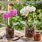 5/6 Inch Clear Acrylic Orchid Planter Pot with 360° Round Holes & Tray - Image 4