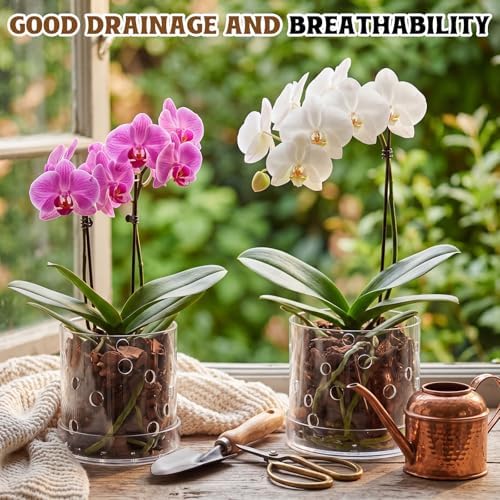 5/6 Inch Clear Acrylic Orchid Planter Pot with 360° Round Holes & Tray - Image 4