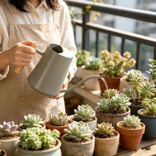 GOWENIC Watering Can with Long Spout, Stainless Steel Indoor Plant Watering Can, 1L Metal Garden with Wood Handle for Home Garden Flower (Gray) - Image 2