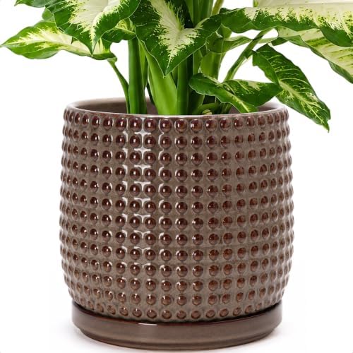 D'vine Dev Beaded Ceramic Pot with Saucer, 8 in, Stone Taupe, 27-C-Q-L by DvineDevPlanterPotsandStand