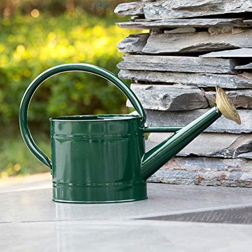 1.3 Gallon Jade Green Metal Watering Can, Removable Spout - Image 3