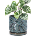 D'vine Dev Embossed Leaves Ceramic Planter, 6 in, Ocean Teal, 27-A-X-8 by DvineDevPlanterPotsandStand