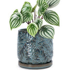 D'vine Dev Embossed Leaves Ceramic Planter, 6 in, Ocean Teal, 27-A-X-8 by DvineDevPlanterPotsandStand