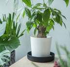 Phoenix Vine 8 Inch Plastic Plant Saucer Water Drip Tray, Heavy Sturdy Round Plant Drainage Tray for Indoors Outdoor, Set of 2, Matte Black, 21-TY-8B-2 - Image 5