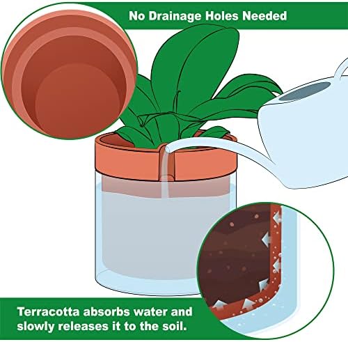 Phoenix Vine 10 Inch Self Watering Planter Pot, Terracotta Clay Pot with Glass Reservoir for Indoor Plants, Herbs, Flowers, Set of 1, 52-A-I-1 - Image 6