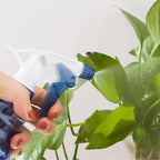 Watering Plant Pot Spray Bottle Plastic Candy Color Flowers Plants Seedling Sprayer Hairdressing Planting Teapot - Image 6