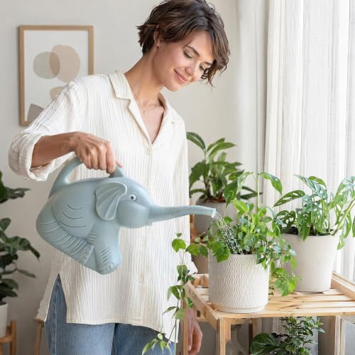 2L Large Capacity Watering Kettle Ergonomic Handle for (C) - Image 4