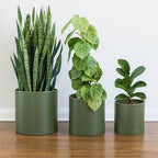 D'vine Dev 3-Pack Plastic Pots & Saucers, 10/12/14 in, Olive, 74-V-I-6 - Image 2