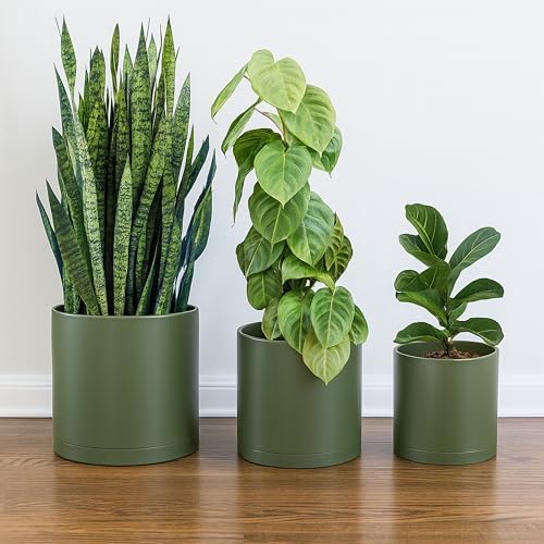 D'vine Dev 3-Pack Plastic Pots & Saucers, 10/12/14 in, Olive, 74-V-I-6 - Image 2