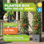Bio Green 2 Pack Garden Tomato Planter MAXITOM, with Plant Support Trellis 59 inch and Self Watering, 4,2 Gal Planter Box for Climbing Vegetables Plants, Gray - Image 2