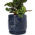 D'vine Dev Embossed Leaves Ceramic Planter, 8 in, Midnight Blue, 27-A-Q-3 by DvineDevPlanterPotsandStand