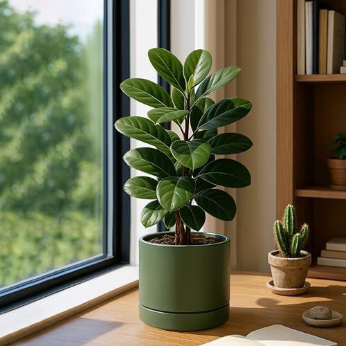 Phoenix Vine 8 Inch Planter Pot with Drainage Hole & Saucer, Deep Water Catch Tray, Straight Cylindrical Round Pot for Plants, Olive, Pack of 2, 23-D-T-2 - Image 7