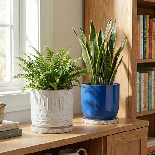 Eightpot 2 Pack Ceramic Plant Saucer, 7.5 Inch Plant Trays for Pots, Round Plant Plates to Catch Water for Indoor Outdoor, Modern Plant Dishes to Catch Water, Decorative Flower Pot Trays, Cream White - Image 6