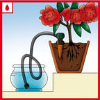 Blumat 12500 Junior Counter Display Box Automatic House Plant Watering, 25-Pack - Image 3