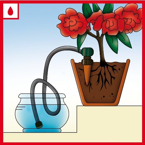 Blumat 12500 Junior Counter Display Box Automatic House Plant Watering, 25-Pack - Image 3