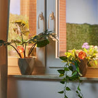 Relaxdays Set of 4 Glass Watering Globes, H x D: 15 x 6 cm, Watering Balls for Plants, Holiday Watering Aid Red - Image 2