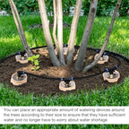 6pcs Olla Watering System Large 64oz Ollas Pot Plant Self Watering Garden Watering System 4.8x4.8x10in Irrigation System Olla Watering System Automatic Plant Watering Devices for Garden Shrub - Image 4