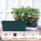 Oliz Window Box Planter 8 Pcs, 17 Inches Rectangle Flower Pots with Drainage Holes & Trays, Vegetable Planters for Windowsill Patio Garden Balcony Home Indoor Outdoor (Dark Green, 16 * 7 * 6 inch) - Image 3