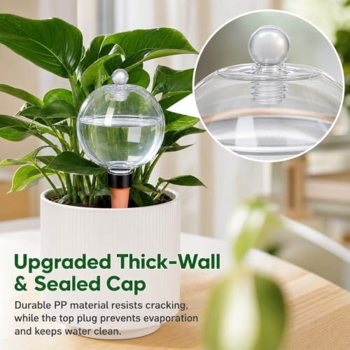 MGMSBV 4 Pack 17 oz Self Watering Globes, Thick-Wall Durable, Clear - Image 3