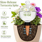 19 oz Large Self Watering Globes for Plants, Top Fill, 6 Pack - Image 3