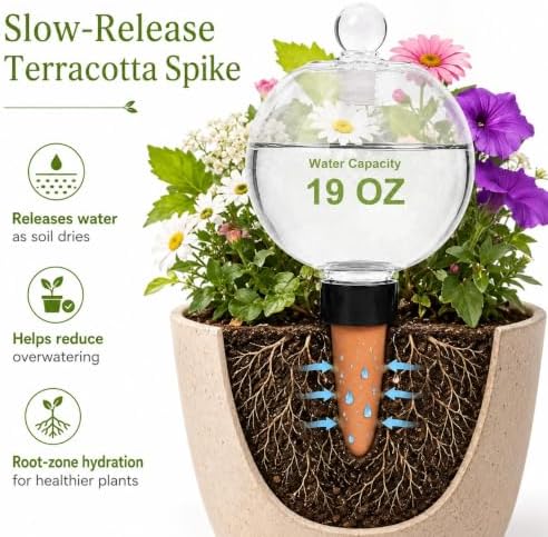 19 oz Large Self Watering Globes for Plants, Top Fill, 6 Pack - Image 3