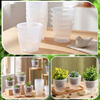 Self Watering Plant Pots, 5.1'', Transparent, 24 Pcs - Image 5