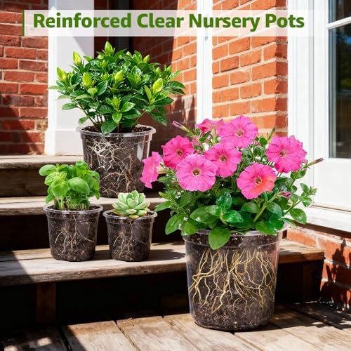 MIXC Clear Nursery Pots with Drainage Holes and Saucers, 12Inch, 12Pack - Image 7