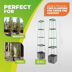 Bio Green 2 Pack Garden Tomato Planter MAXITOM, with Plant Support Trellis 59 inch and Self Watering, 4,2 Gal Planter Box for Climbing Vegetables Plants, Gray - Image 3